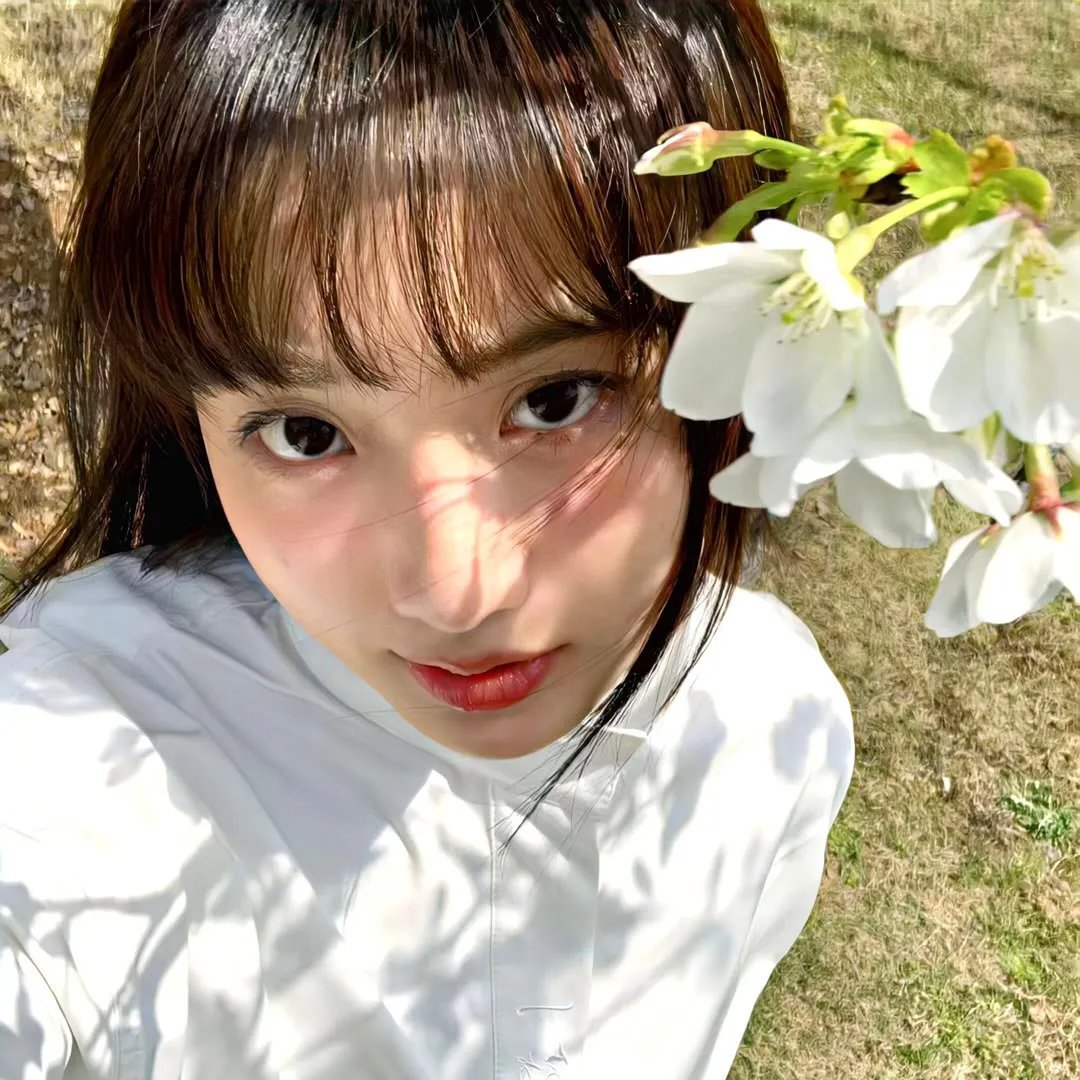 狐狸女士第二季