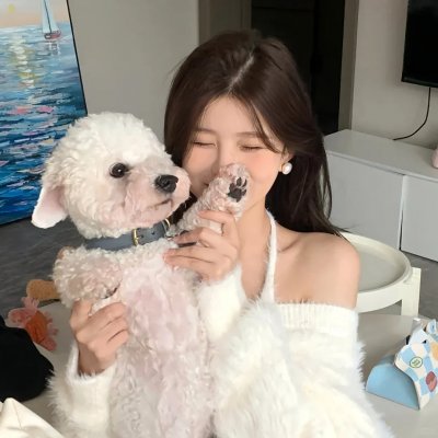 驯鹿游戏